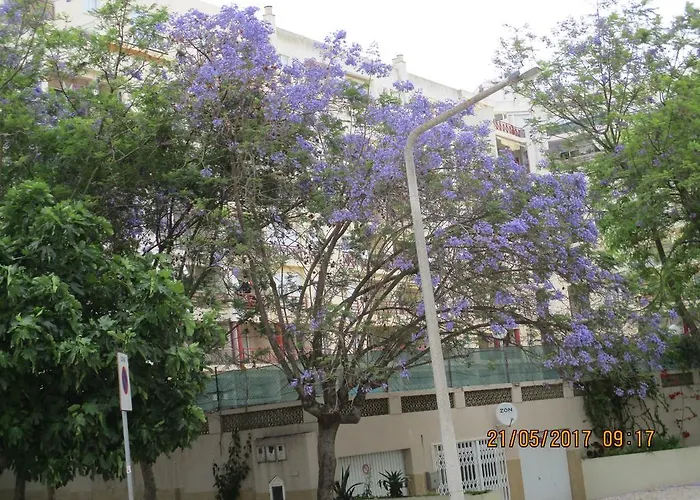 Edificio Canoa شقة